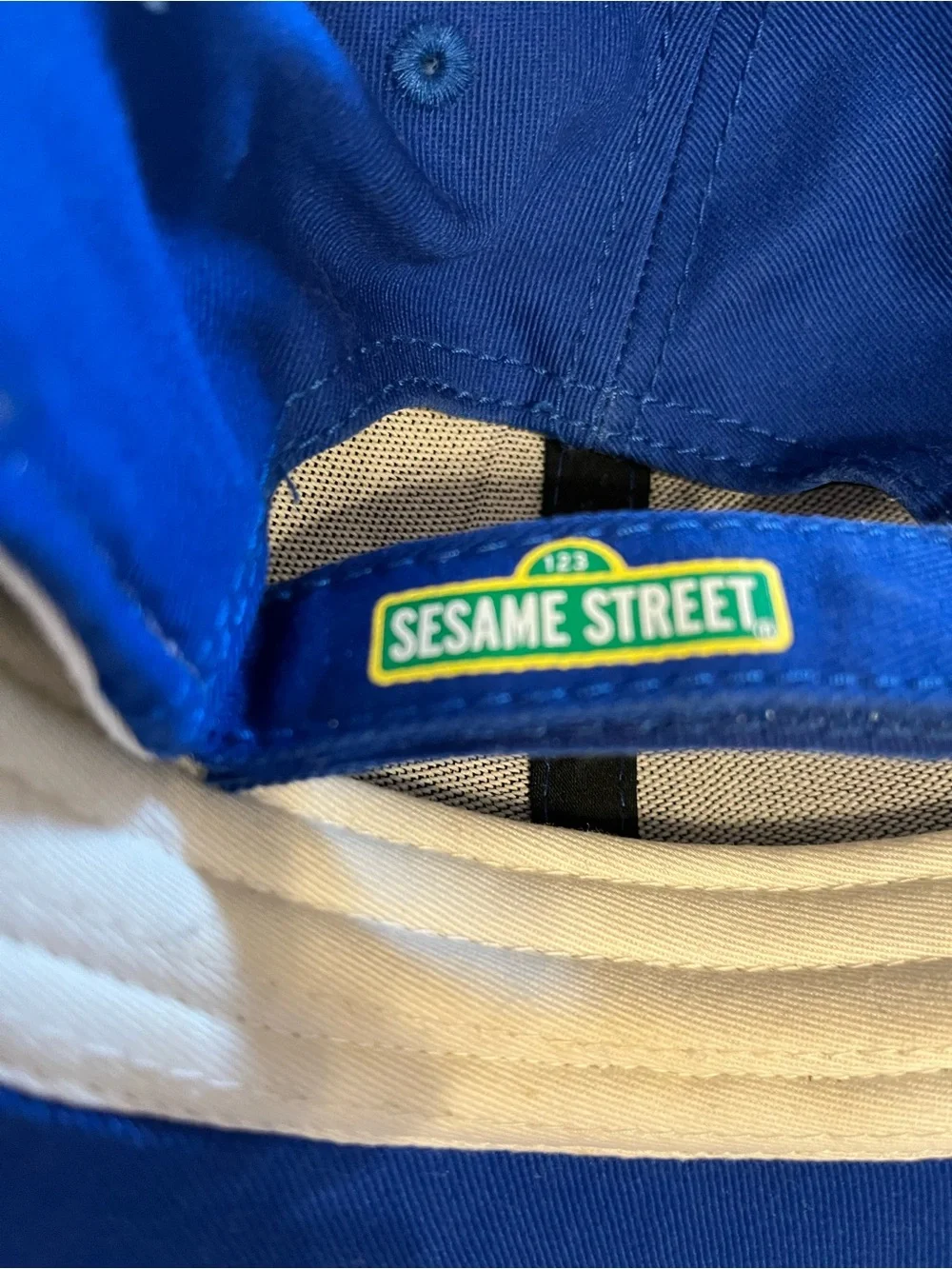 Youth’s Cookie Monster Sesame Street Cap
